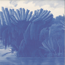 Xique-Xique Na Lagoa: Remixed Vinyl 12" USED