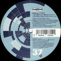 Markus Schulz You Won't See Me Cry Vinyl 12" USED