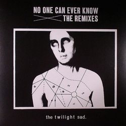 The Twilight Sad No One Can Ever Know: The Remixes Vinyl LP USED