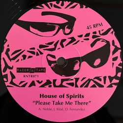 House Of Spirits (2) Please Take Me There Vinyl 12" USED