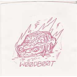 Woodboot Black Piss / Into Your Skull Vinyl 7" USED