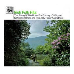 Various Irish Folk Hits Vinyl LP USED
