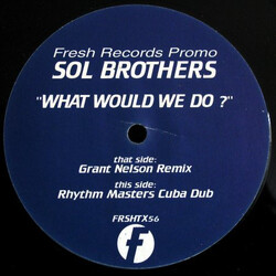 Sol Brothers What Would We Do? Vinyl 12" USED