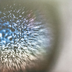 Emptyset Blossoms Vinyl LP USED