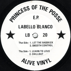 Princess Of The Posse Princess Of The Posse E.P. Vinyl 12" USED