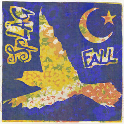 Spläg Fall Rise USED VINYL 7INCH 33 S RPM
