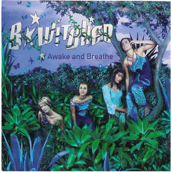 B*Witched Awake And Breathe CD USED