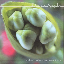 Fiona Apple Extraordinary Machine CD USED