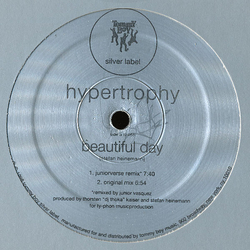 Hypertrophy Beautiful Day Vinyl 12" USED