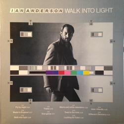 Ian Anderson Walk Into Light Vinyl LP USED