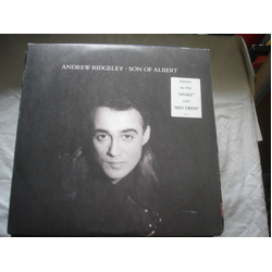 Andrew Ridgeley Son Of Albert Vinyl LP USED