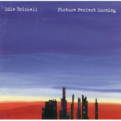 Edie Brickell Picture Perfect Morning CD USED