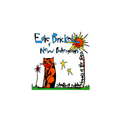 Edie Brickell & New Bohemians Shooting Rubberbands At The Stars CD USED