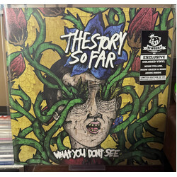 The Story So Far (2) What You Don't See Vinyl 12" USED