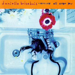 Danielle Brisebois Arrive All Over You CD USED