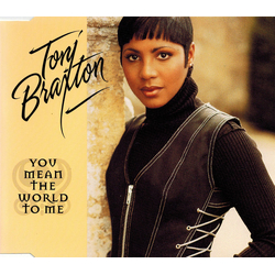 Toni Braxton You Mean The World To Me CD USED