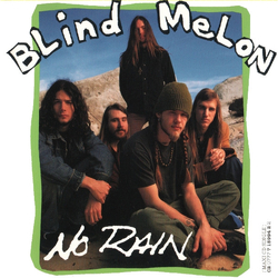 Blind Melon No Rain CD USED