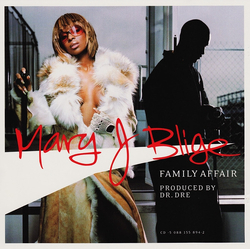 Mary J. Blige Family Affair CD USED