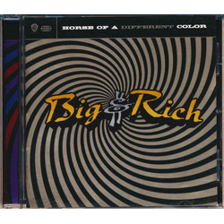 Big & Rich Horse Of A Different Color CD USED