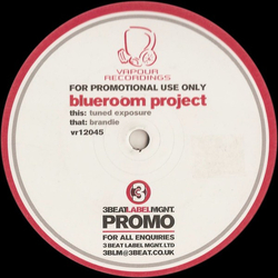 Blue Room Project Tuned Exposure / Brandie Vinyl 12" USED