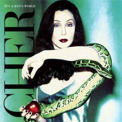 Cher It's A Man's World CD USED