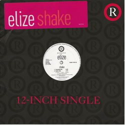 Elize Shake Vinyl 12" USED