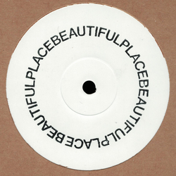 BEAUTIFULPLACE BEAUTIFULPLACE Vinyl 12" USED