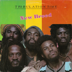 New Breed (10) Tribulation Time Vinyl LP USED