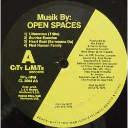 Open Spaces Musik By: Open Spaces Vinyl LP USED