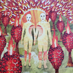 Of Montreal The Sunlandic Twins Multi Vinyl LP/Vinyl 12" USED