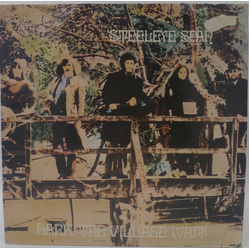 Steeleye Span Hark! The Village Wait Vinyl LP USED