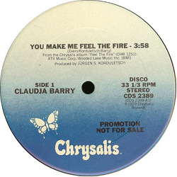 Claudja Barry You Make Me Feel The Fire Vinyl 12" USED