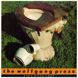 The Wolfgang Press Bird Wood Cage Vinyl LP USED