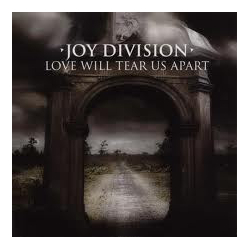 Joy Division Love Will Tear Us Apart Vinyl 12" USED