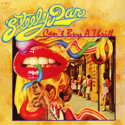 Steely Dan Can't Buy A Thrill Vinyl LP USED