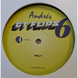 Andrés GTFlips313-006 Vinyl 12" USED