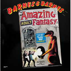 Barnes & Barnes Amazing Adult Fantasy Vinyl LP USED