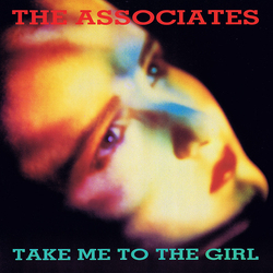 The Associates Take Me To The Girl Vinyl 12" USED