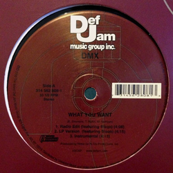 DMX What You Want Vinyl 12" USED