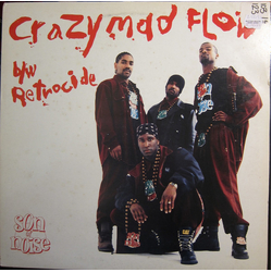 Son Of Noise Crazy Mad Flow b/w Retrocide Vinyl 12" USED