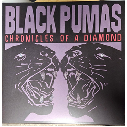 Black Pumas Chronicles Of A Diamond Vinyl LP USED