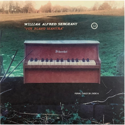 Will Sergeant / Paul Simpson (2) Toy Piano Mantra / Ghosts Of The Karelia Forest Vinyl 7" USED