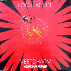 Veetdharm Look At Life Vinyl LP USED