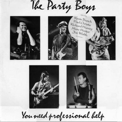 The Party Boys (3) You Need Professional Help Vinyl LP USED