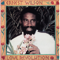 Ernest Wilson Love Revolution Vinyl LP USED