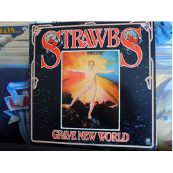 Strawbs Grave New World Vinyl LP USED
