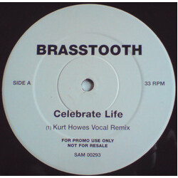 Brasstooth Celebrate Life (Kurt Howes Remix) Vinyl 12" USED