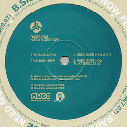 Rairbirds Need More Now Vinyl 12" USED