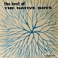 The Native Boys The Best Of The Native Boys Vinyl LP USED