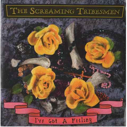The Screaming Tribesmen I've Got A Feeling Vinyl 7" USED